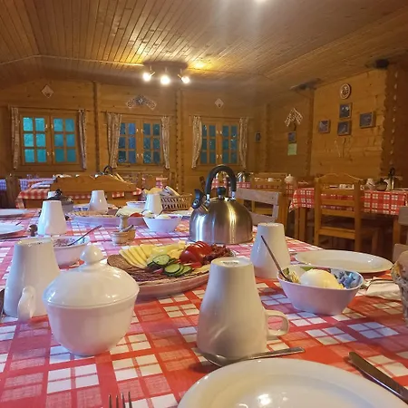 Casa Edelweiss - Gyopar - Flore De Colt Villa Torockó
